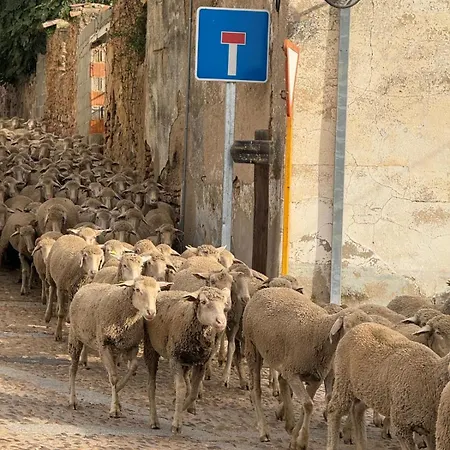 Casa Nela * Medellín