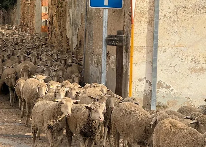 Casa Nela * Medellín